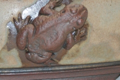 frosch-detail